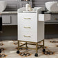 Beauty Salon Storage Trolley Cart,Salon Styling Station Cabinet.