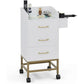 Beauty Salon Storage Trolley Cart,Salon Styling Station Cabinet.