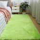 Plush Carpet Silicone Non Slip Carpet