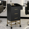Beauty Salon Storage Trolley Cart,Salon Styling Station Cabinet.