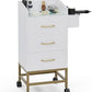 Beauty Salon Storage Trolley Cart,Salon Styling Station Cabinet.